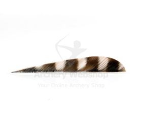 Trueflight Feathers 4 Inch RW Parabolic Barred