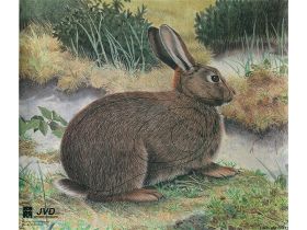 JVD Animal 10 Faces Rabbit