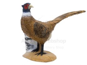 SRT Target 3D Pheasant