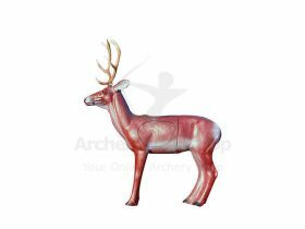 Eleven Target 3D Stag with Insert and Horns