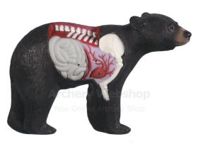 Rinehart Target 3D Anatomy Bear
