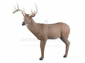 Rinehart Target 3D Big Ten Buck