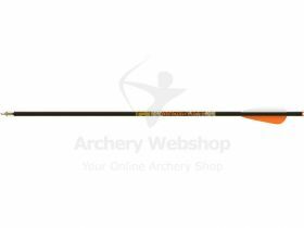Gold Tip Bolts Ballistic with 4 Inch Vanes