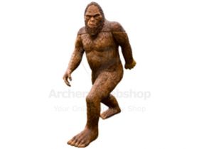 Rinehart Target 3D Sasquatch