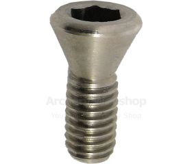 Gillo Limb Bolt Locking Screw Stainless Steel 2 Pieces