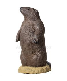 Rinehart Target 3D Groundhog