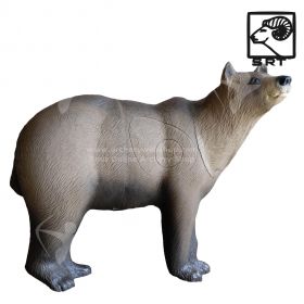 SRT Target 3D Brown Bear Marsicano