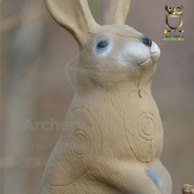  Elevate your archery practice with the delightful and durable 3Di Bunny Target from 3D International. Designed with four strategically placed killzones tailored for IFAA 3D rounds, this target is suitable for archery enthusiasts of all skill levels. Its 
