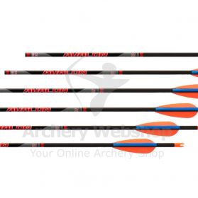 Avalon Carbon Fiber Arrows Tyro 4.2