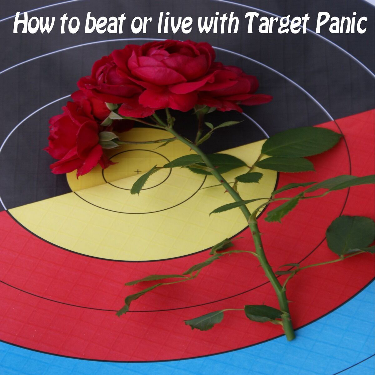 ALP Archery Workshop Target Panic